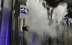 CE014-Cryogenics Safety